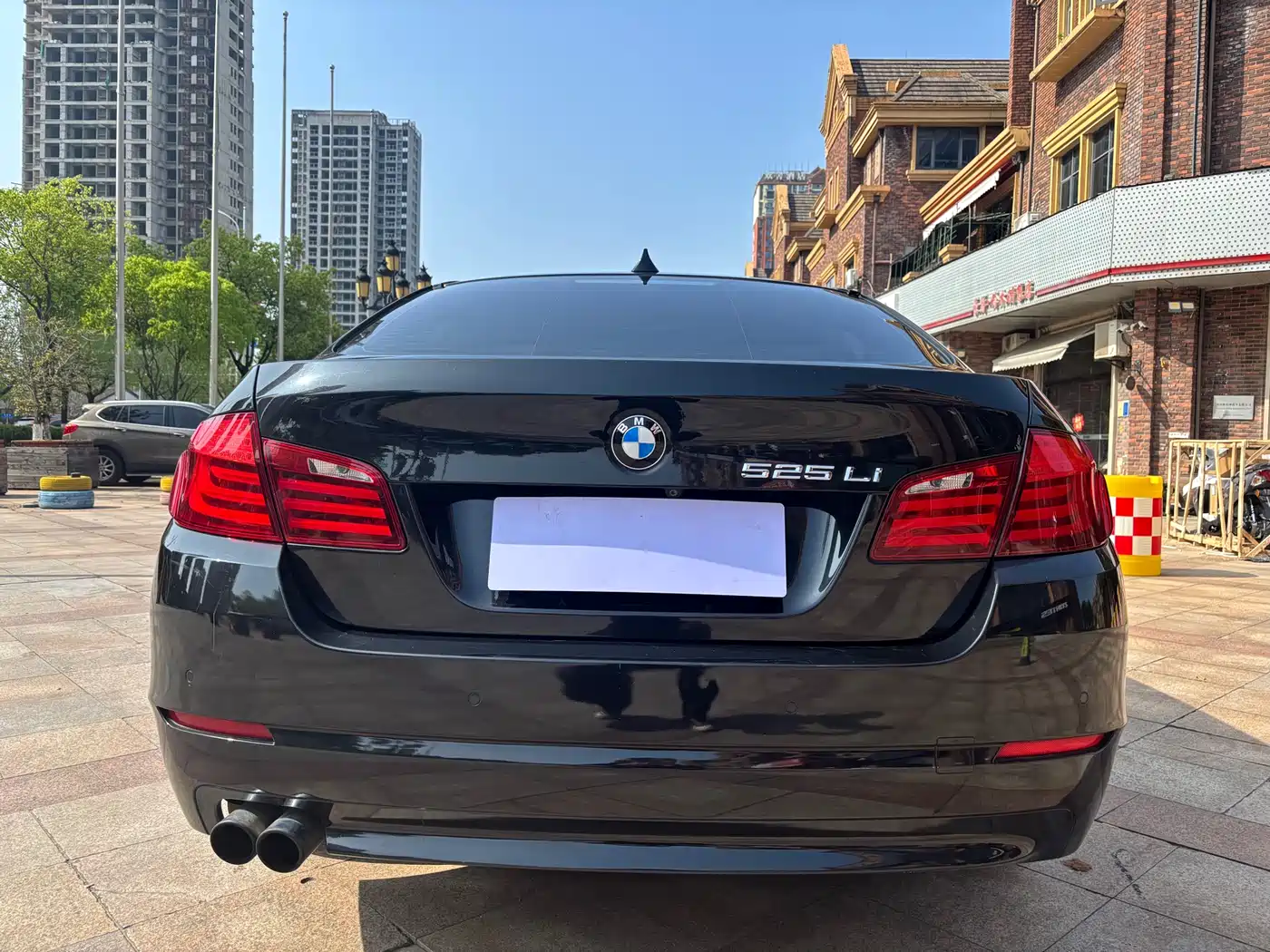 BMW 5 Series 2013 525Li Luxury фото 22