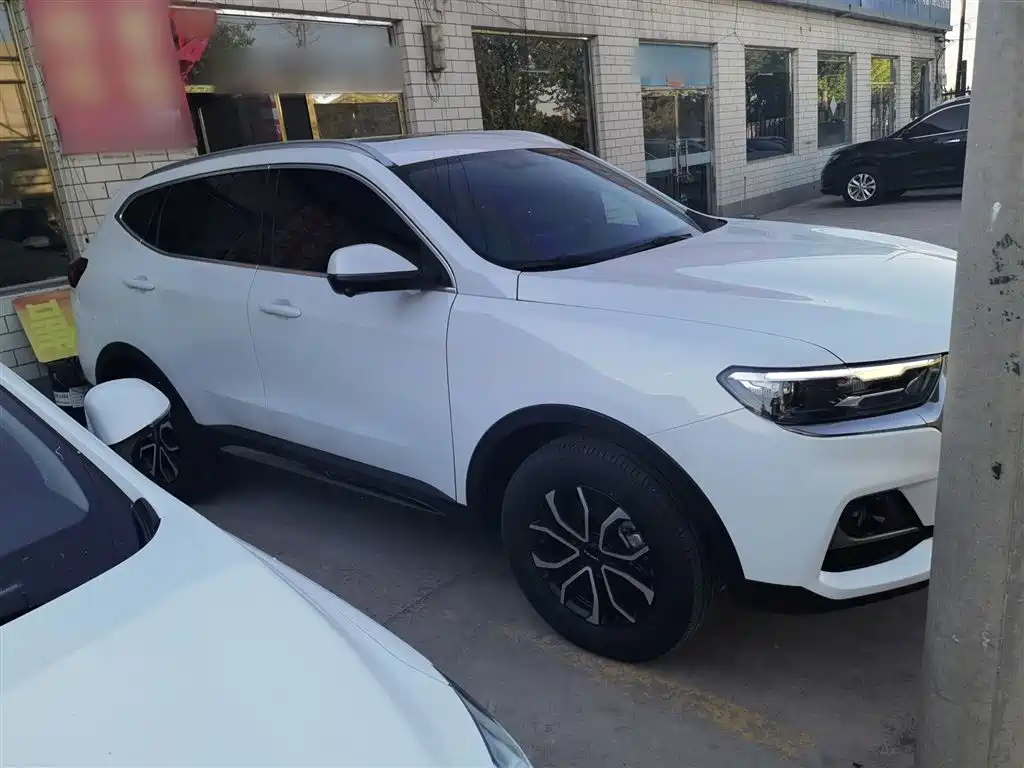 Haval H6 2023 National Trend Edition 1.5T Automatic Urban фото 8