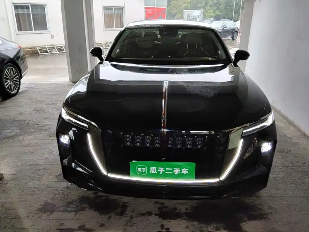 Photo 3 - Hongqi H9