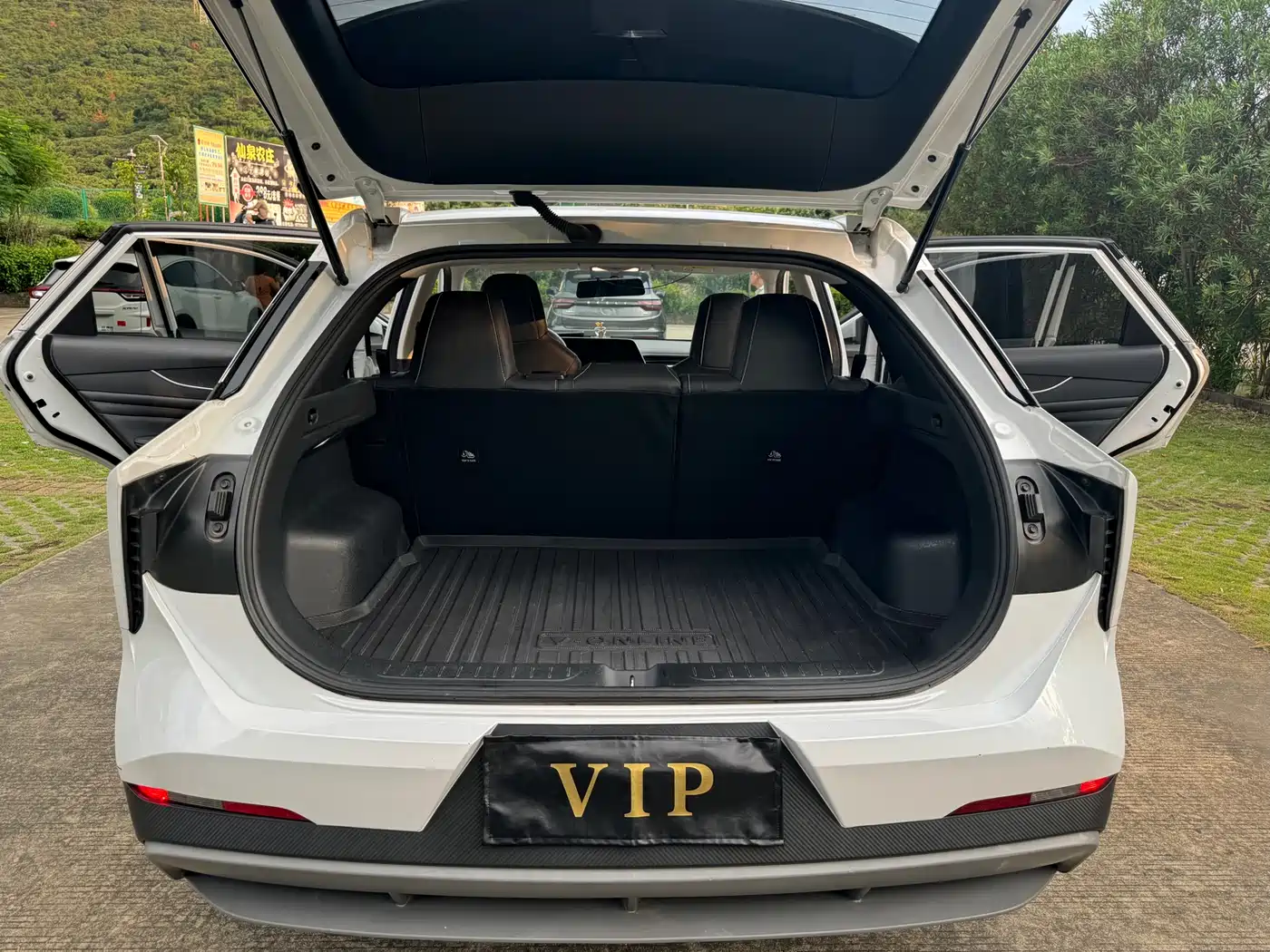 Venucia Big V 2022 2022 260T Dark Horse Edition·Idol