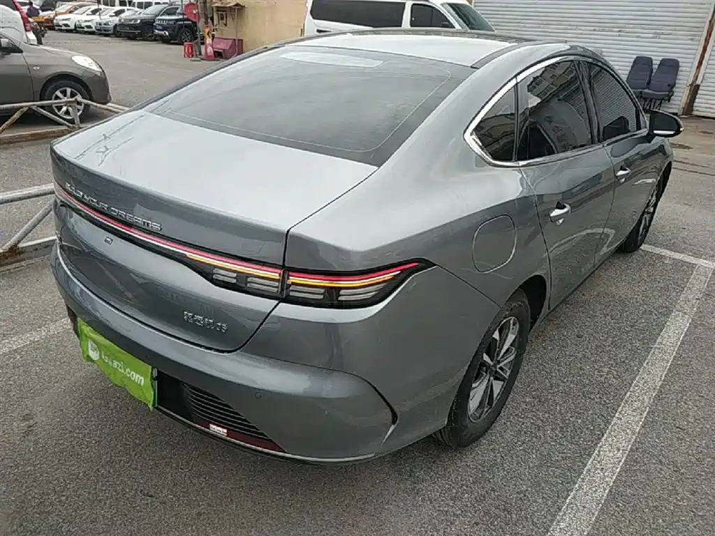 BYD Destroyer 05 2024 Glory Edition DM-i 55KM Luxury фото 7