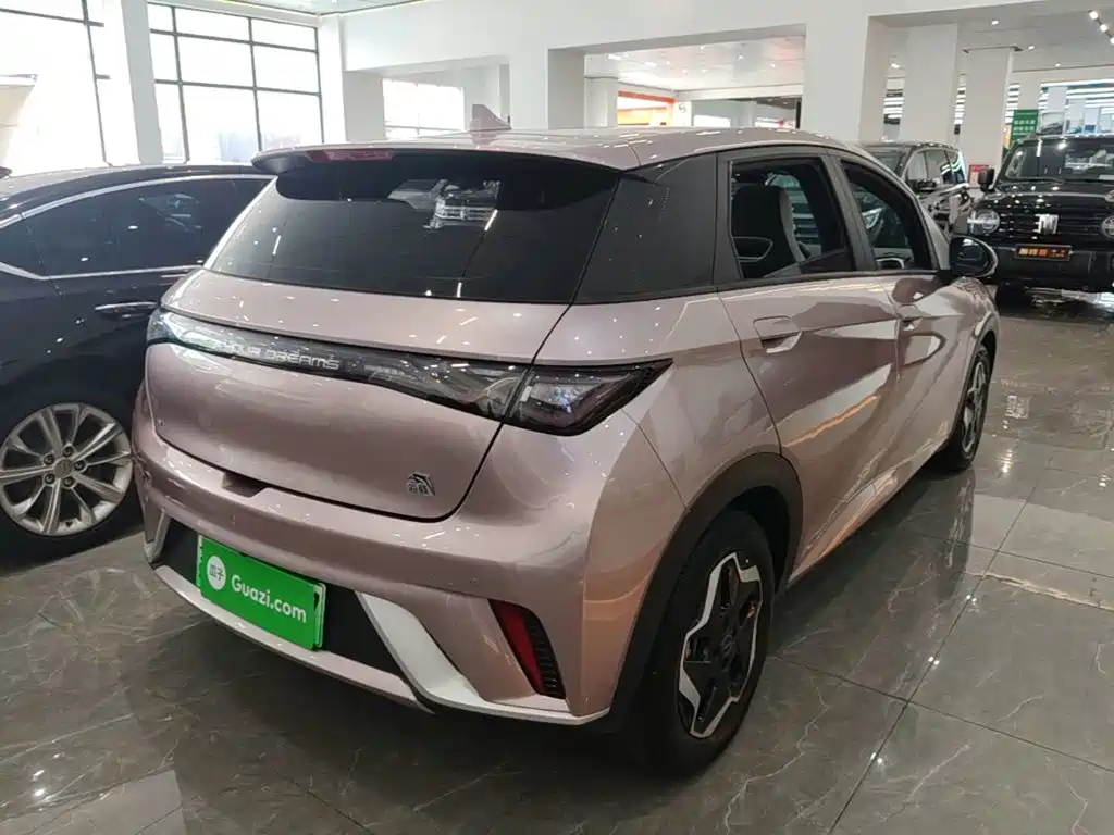 BYD Dolphin 2022 2021 Model 405km Fashion Edition