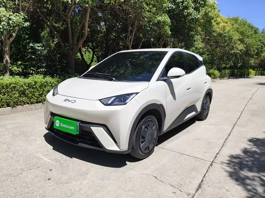 BYD Seagull 2025 305km Vitality