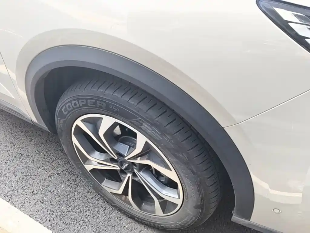 Haval Xiaolong MAX 2025 2025 Hi4 165 Ultra Smart Drive Edition
