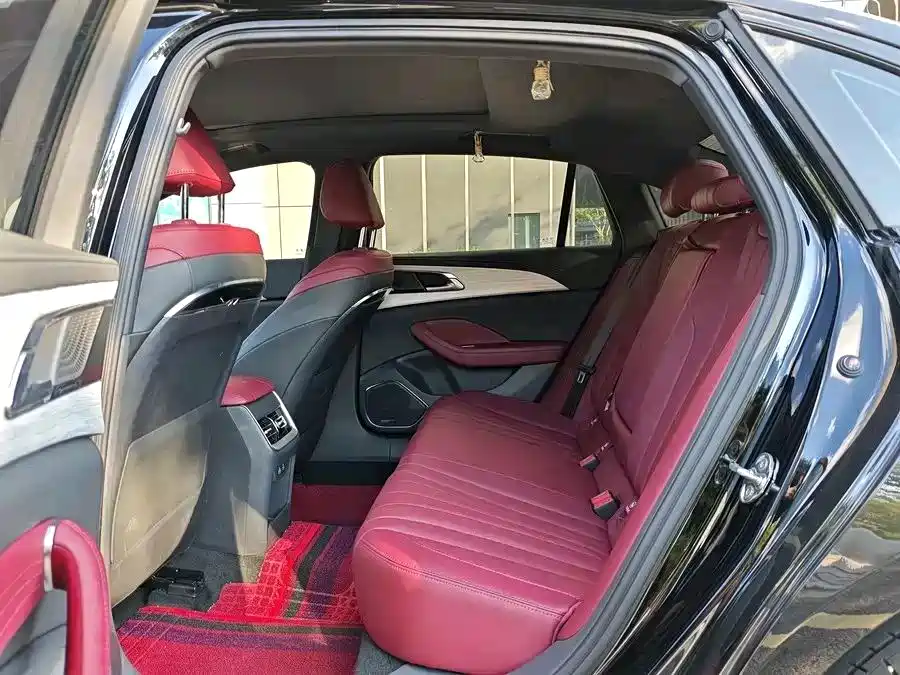 صورة 13 - Hongqi H5