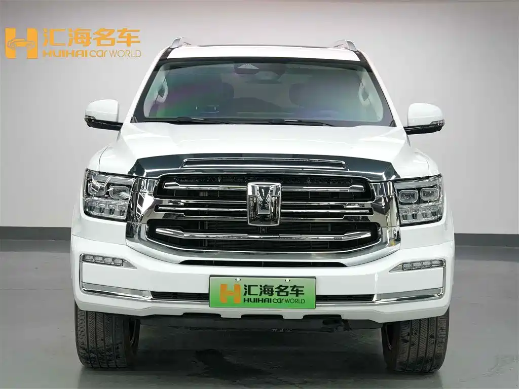 Tank 500 EV 2025 Hi4-Z фото 2