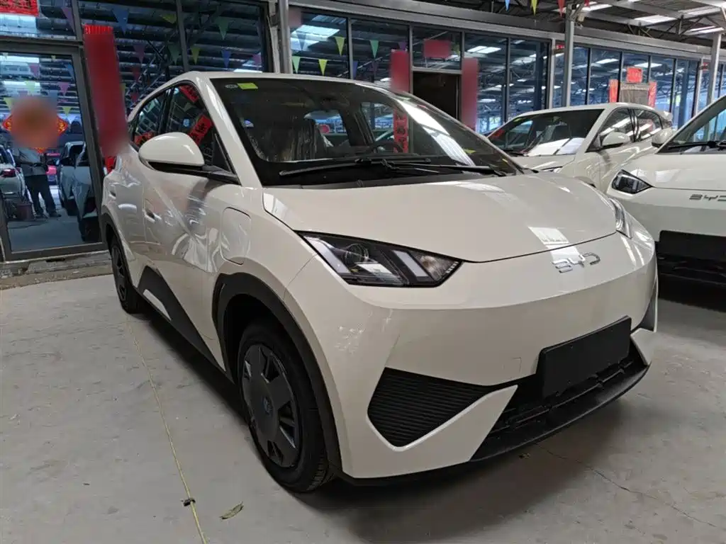 BYD Seagull 2025 Smart Drive Edition 305km Vitality Version фото 4