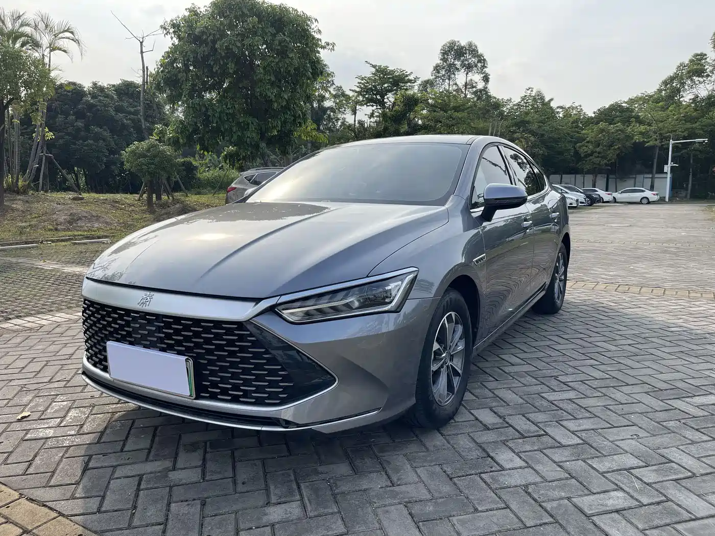 BYD Qin PLUS 2024
