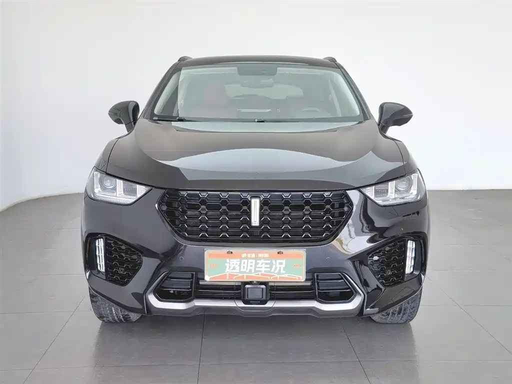 WEI PAI WEI BRAND VV5