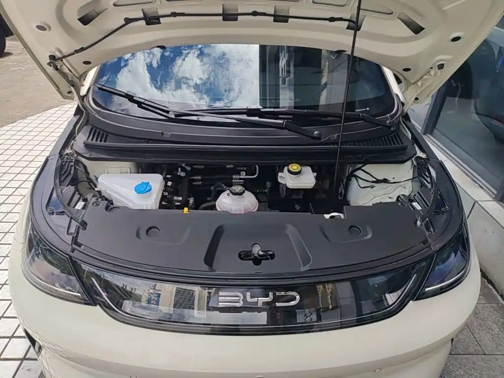 BYD Dolphin 2025 2025 Smart Drive Edition 420km Freedom Version