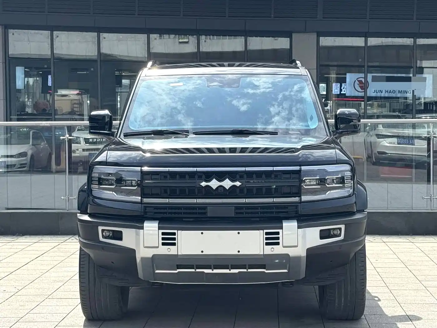 FANG CHENG BAO LEOPARD 5