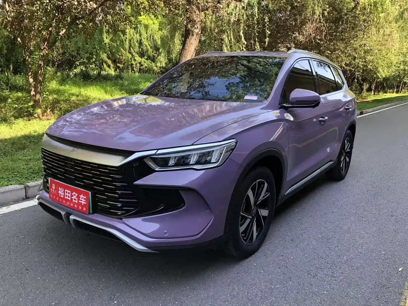 BYD Song Pro New Energy 2023 Champion Edition DM-i 110KM Surpassing Type