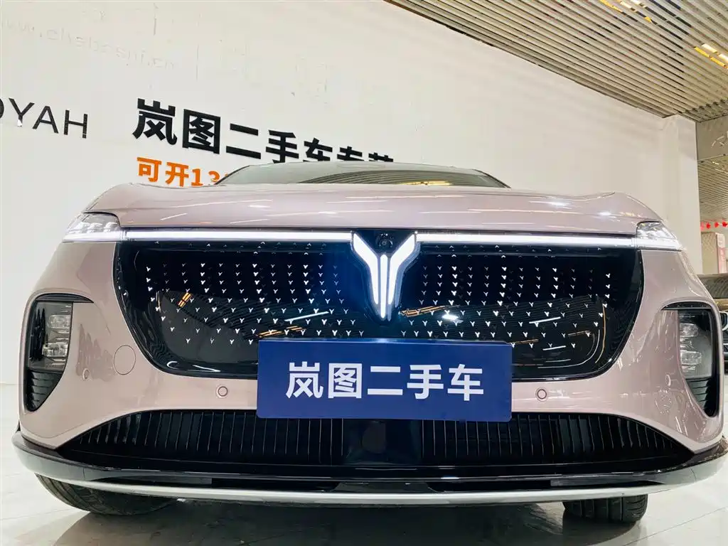 Voyah Auto Voyah Zhiyin 2024 4WD Global Edition фото 6