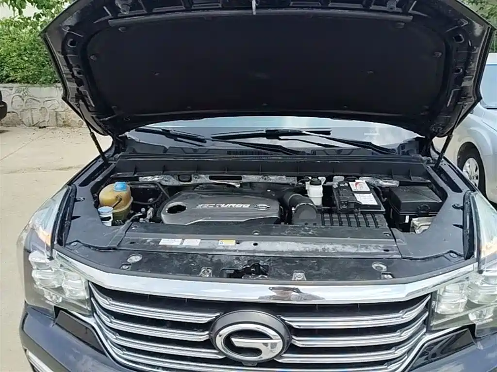 GAC Trumpchi Trumpchi GS8 2017 320T 2WD Luxury Smart Connect (7-seater) фото 20