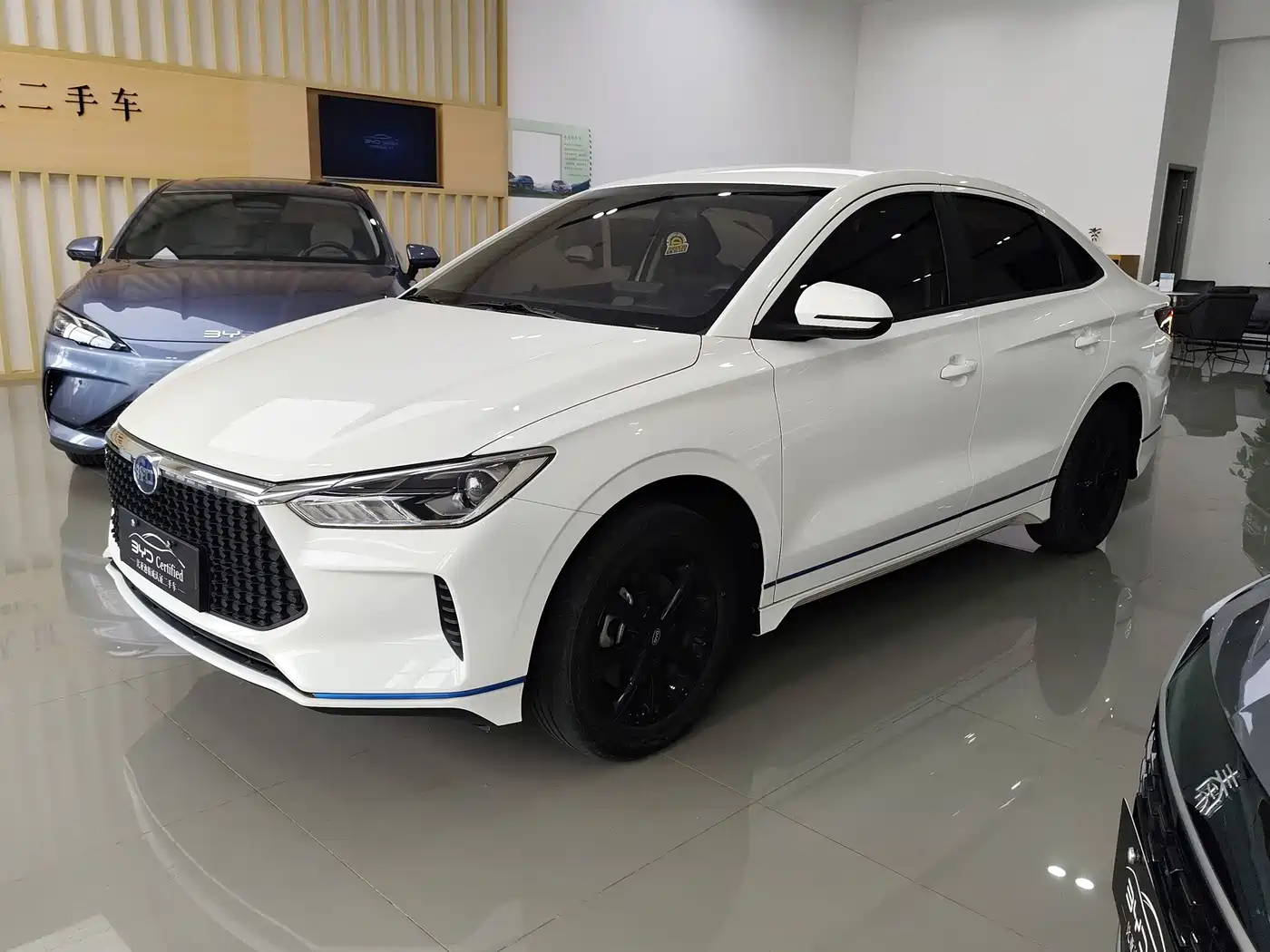 BYD e3 2024 2021 Upgraded Edition Long Range Luxury