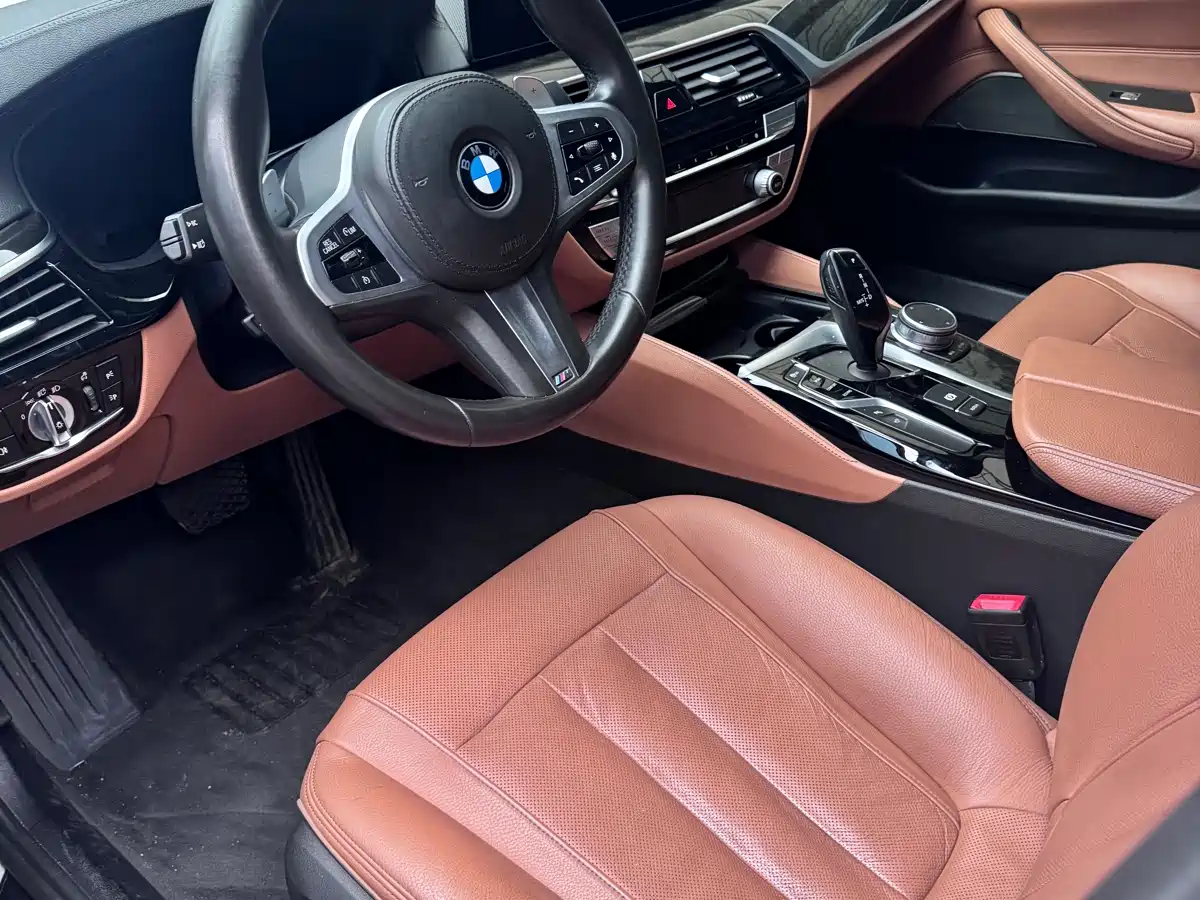 BMW 5 Series 2020 530Li Exclusive M Sport Package фото 8
