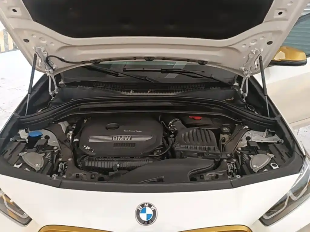 BMW X2 2024 2023 xDrive 25i Radiance Edition