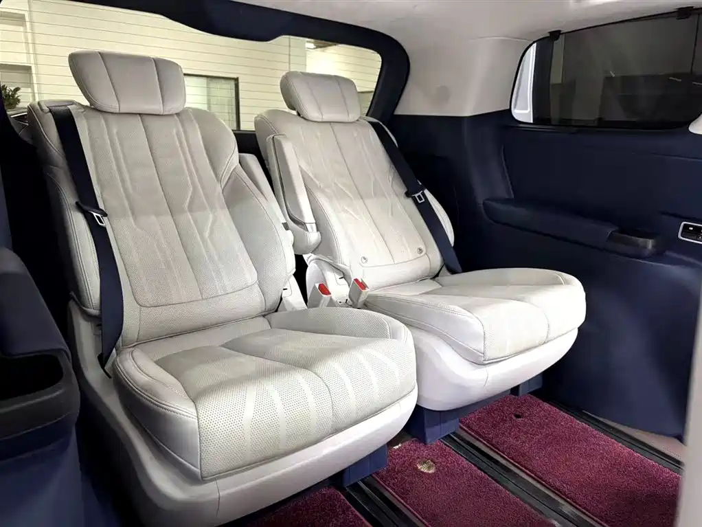 Buick Century 2023 2.0T 6-Seat World Edition фото 24