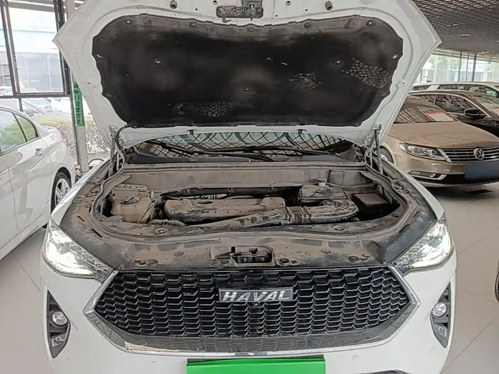 Haval F7 2019 2019 2.0T 4WD i-Joy China VI