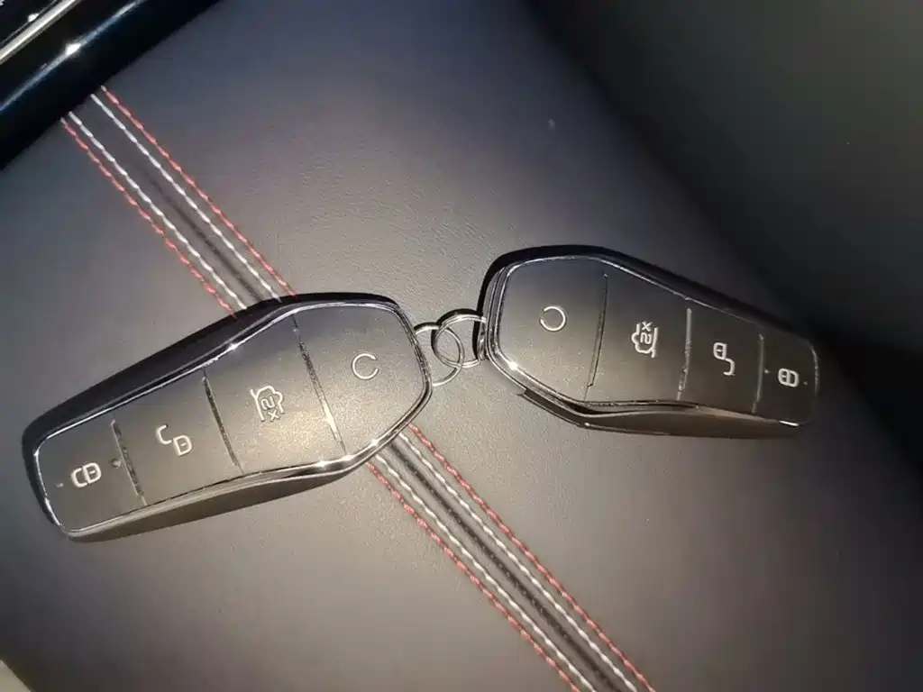 BYD Qin PLUS 2021 2021 Model EV 600KM Flagship