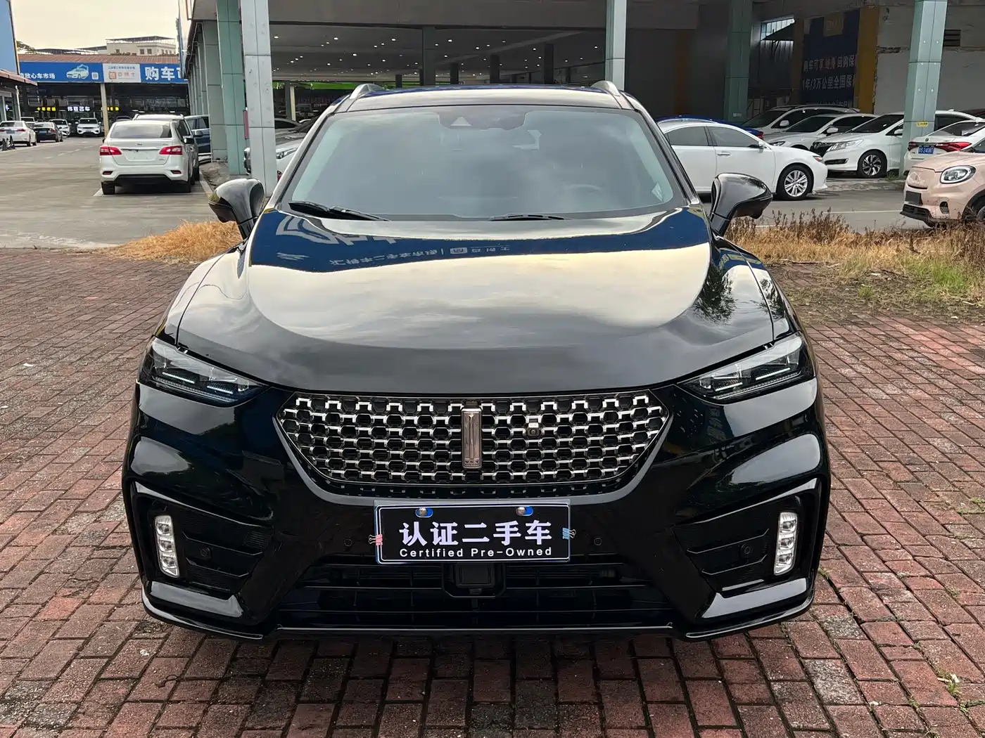 2021 WEY VV7
