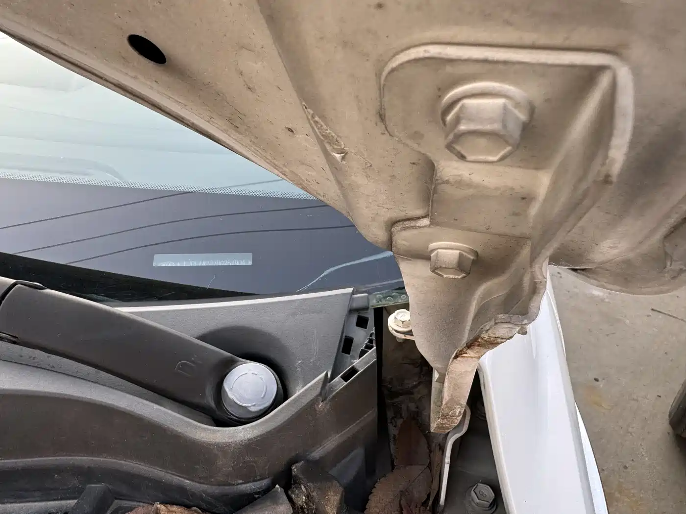 Kia K2 2012 Sedan 1.6L AT Premium Commemorative Edition фото 15