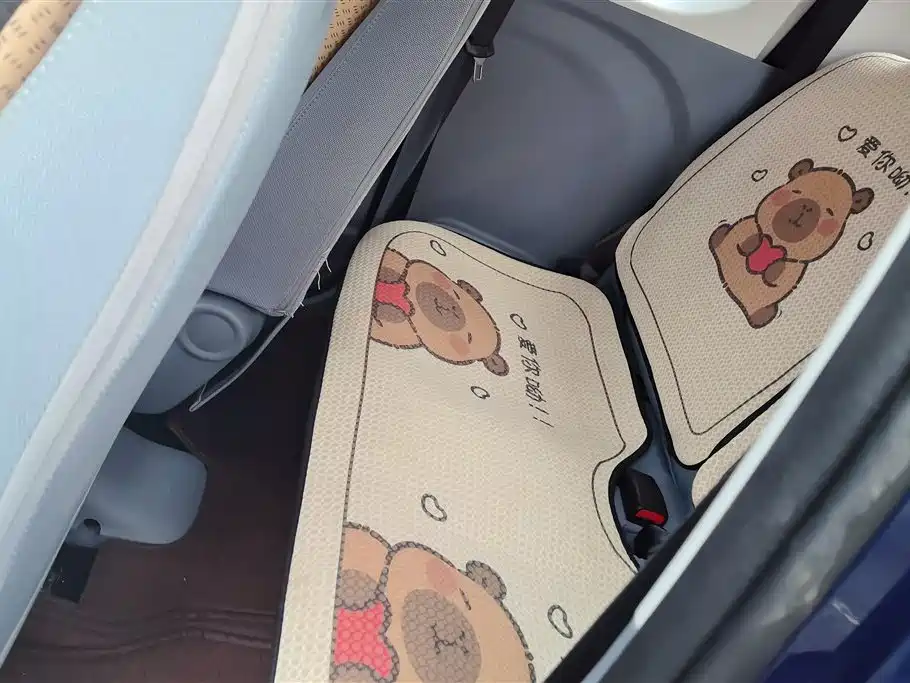 BESTUNE PENTIUM PONY