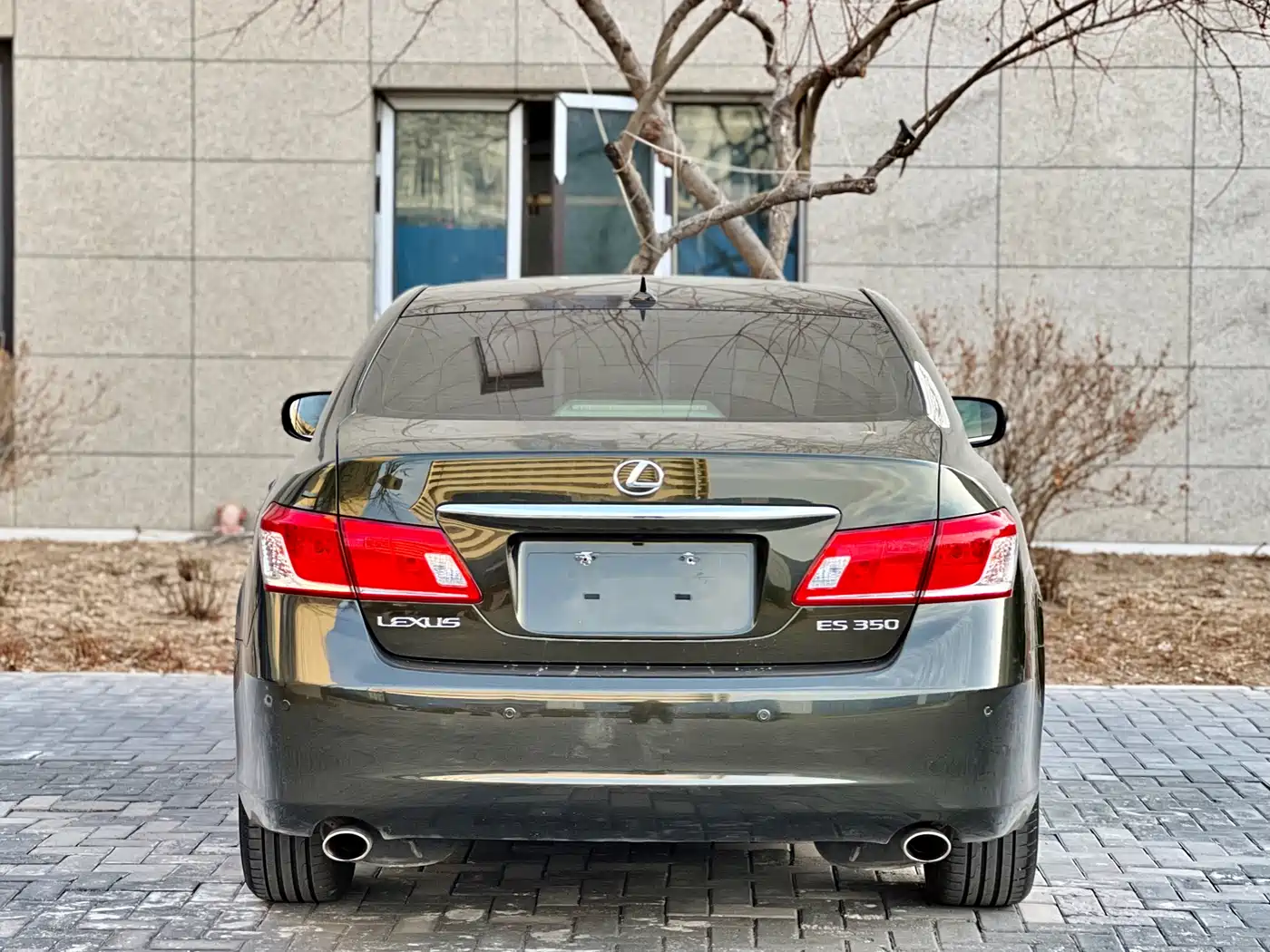 Lexus ES 2010 350 Premium Edition фото 17