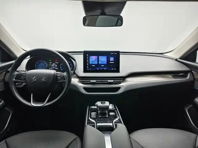 صورة 6 - Hongqi E-QM5