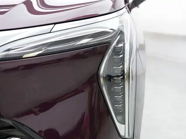 Buick Century 2023 2.0T 7-Seater World Edition — фото 2