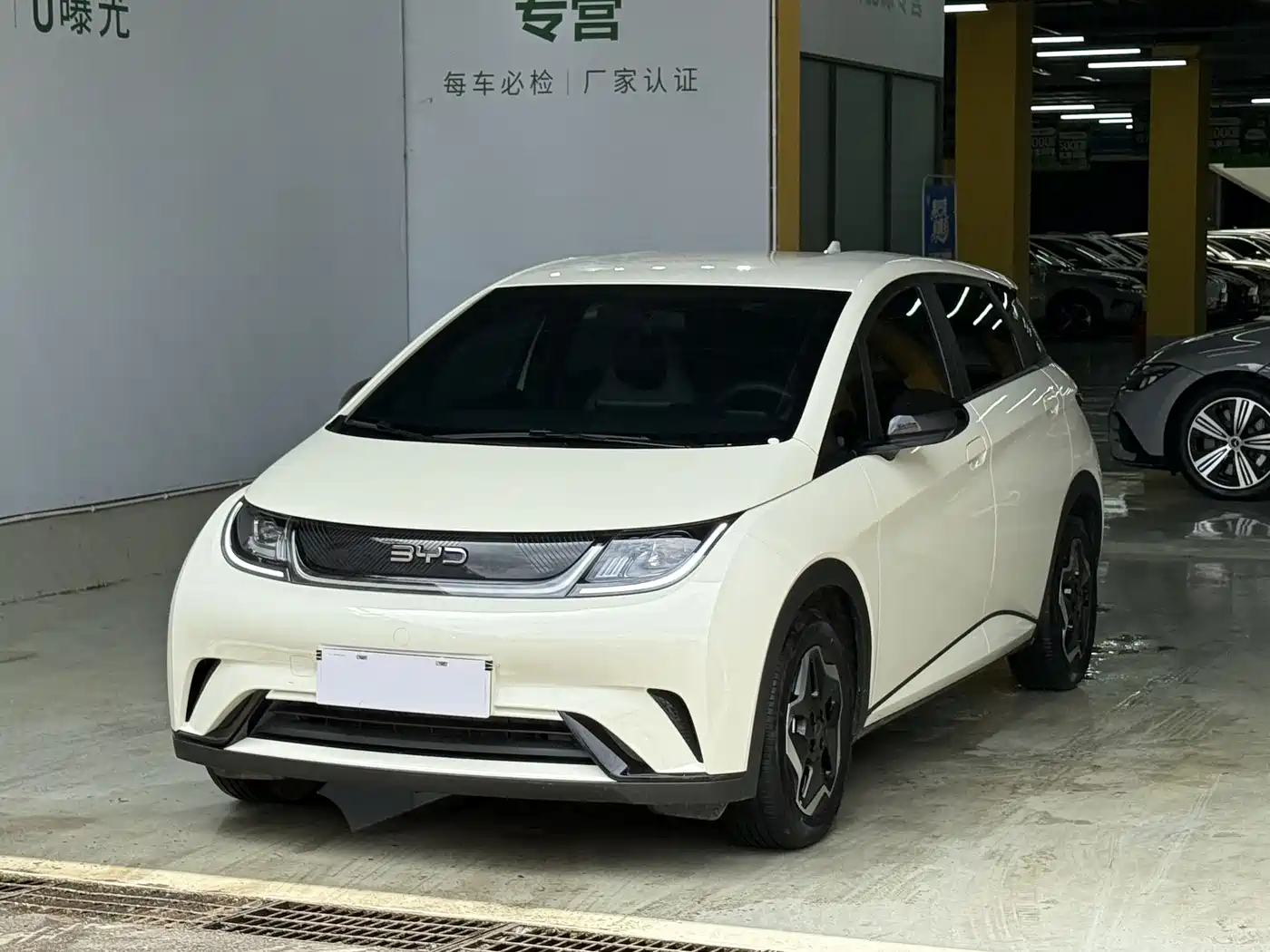 BYD Dolphin 2025 420km Vitality Edition