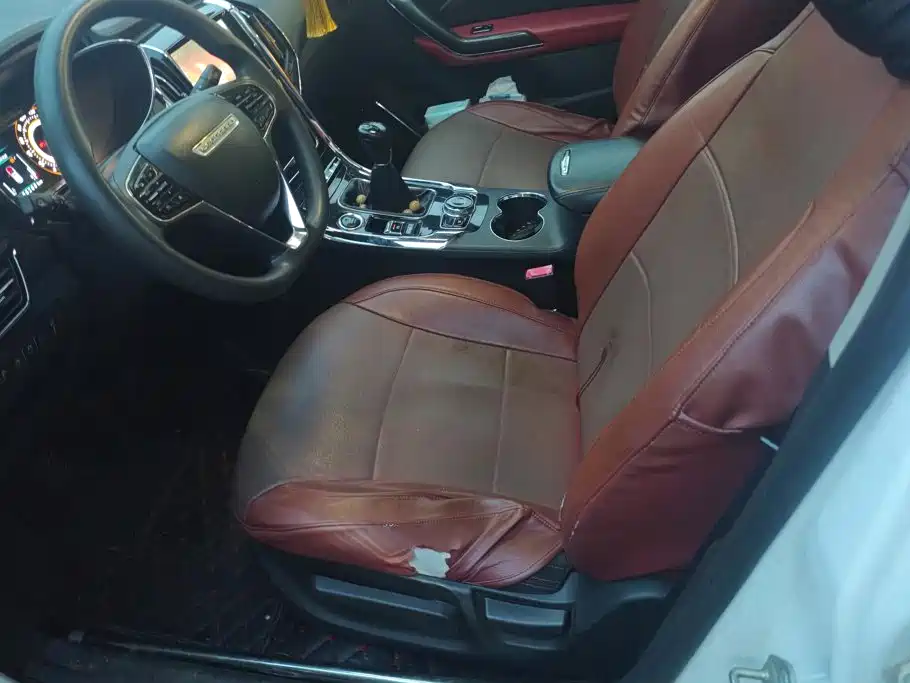 Leopaard CS9 2017 2017 1.5L Manual Trend