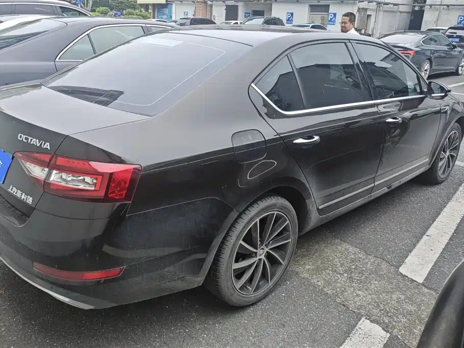 Škoda Octavia 2018 TSI280 DSG Luxury Edition фото 3