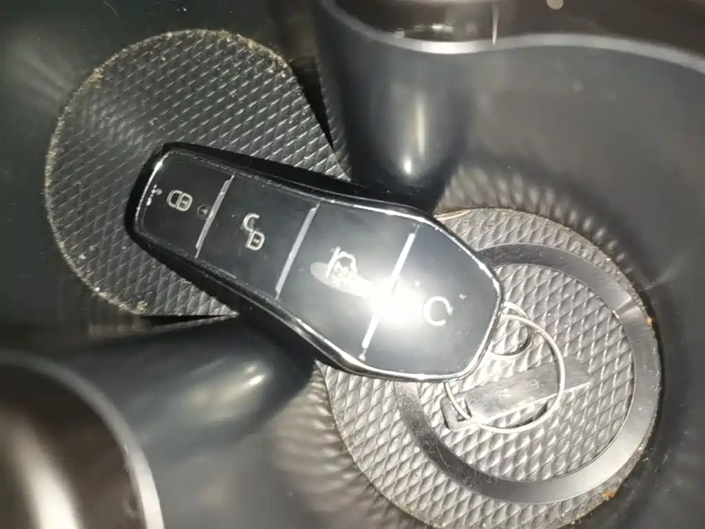 BYD Hai Bao 05 DM-i 2025 DM-i Smart Drive Edition 55KM Luxury фото 9