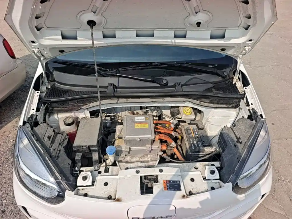 Roewe Kaiwei CLEVER 2023 2022 311km Vitality Bobo Edition