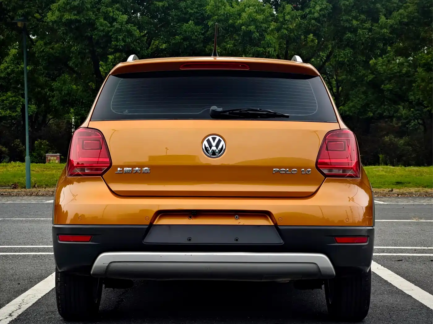 Volkswagen Polo 2014 2014 1.6L Cross Polo Automatic
