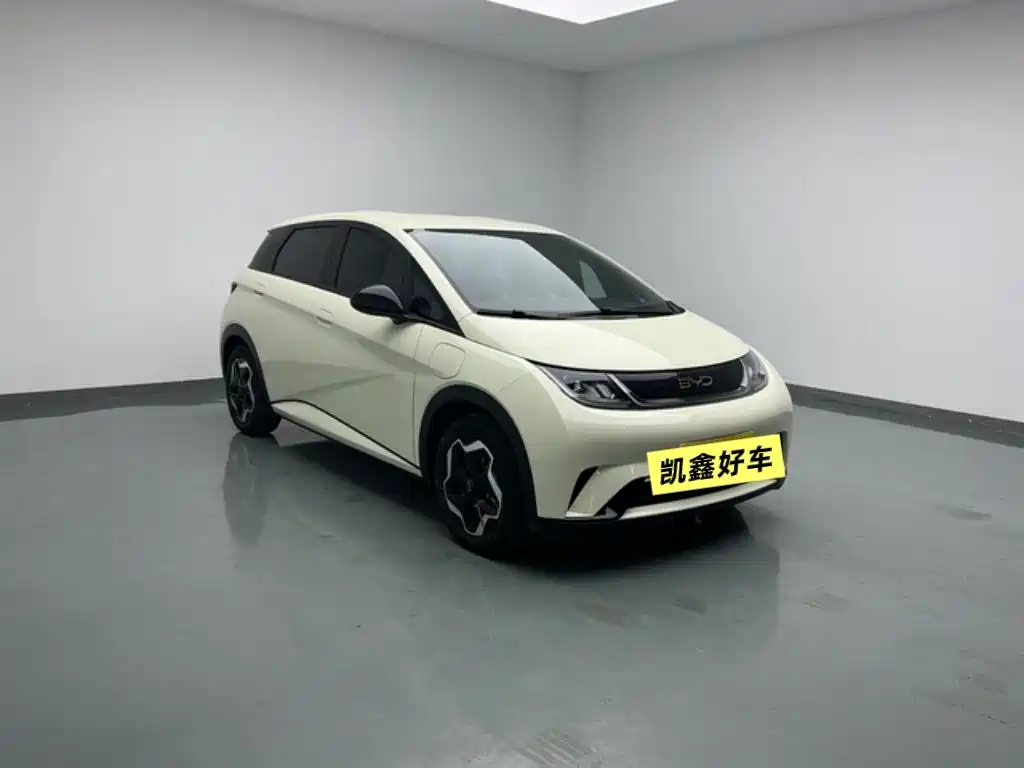 BYD DOLPHIN