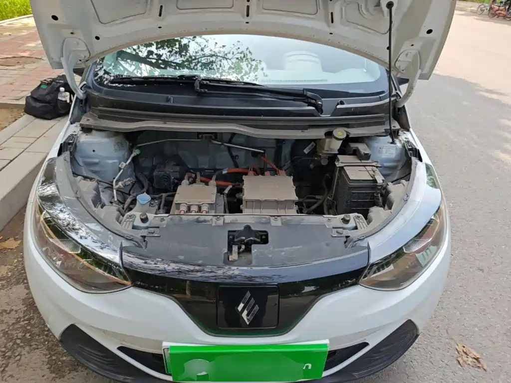 JMCG New Energy Little Kirin 2025 2024 201km Comfort Model