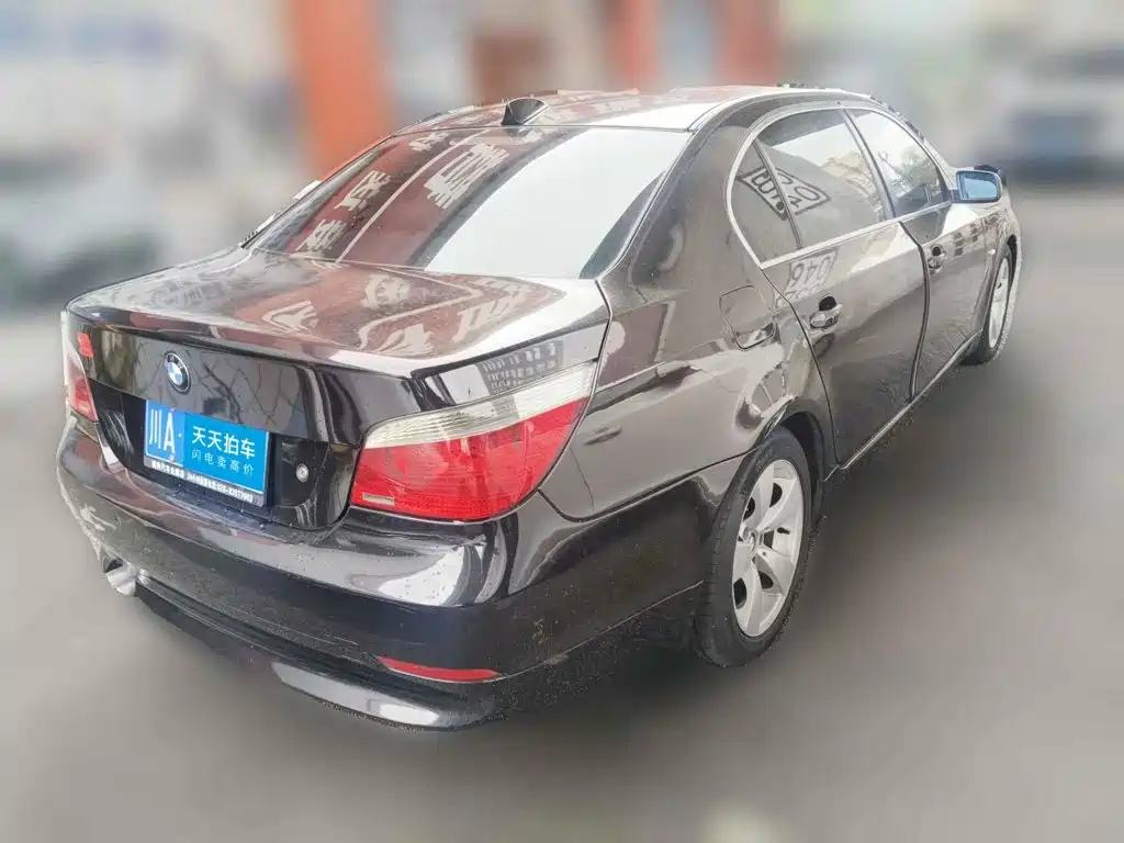 BMW 5 Series 2007 2007 523Li Elegance