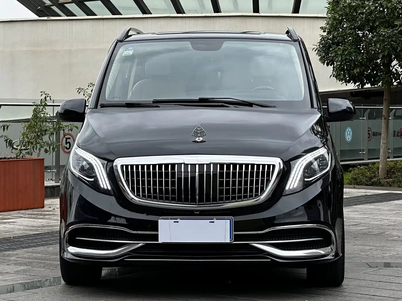 Mercedes-Benz Vito 2018 2.0T Business Edition China VI фото 2
