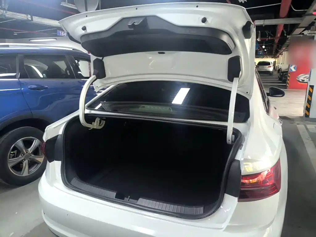 صورة 19 - Volkswagen Sagitar