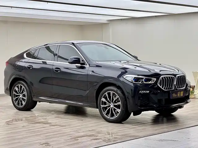 BMW X6 2021