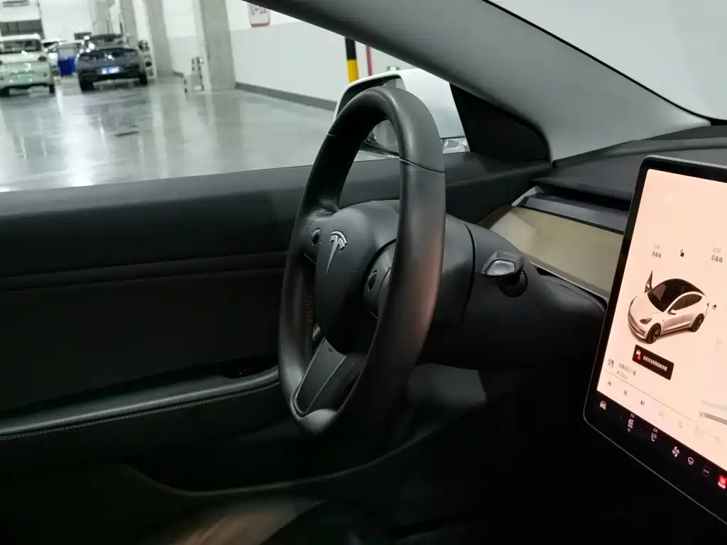 Tesla Model 3 (Import) 2019 2019 Standard Range RWD Upgraded Edition
