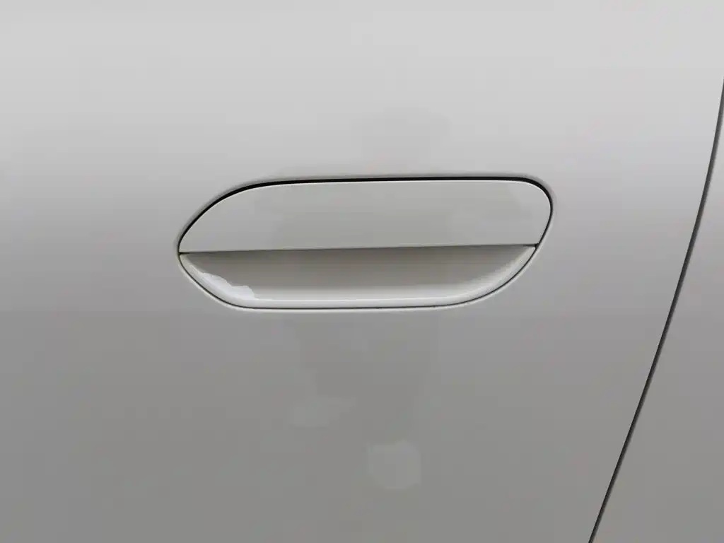 Geely Galaxy Starry Wish 2025 2025 310km Youth Edition
