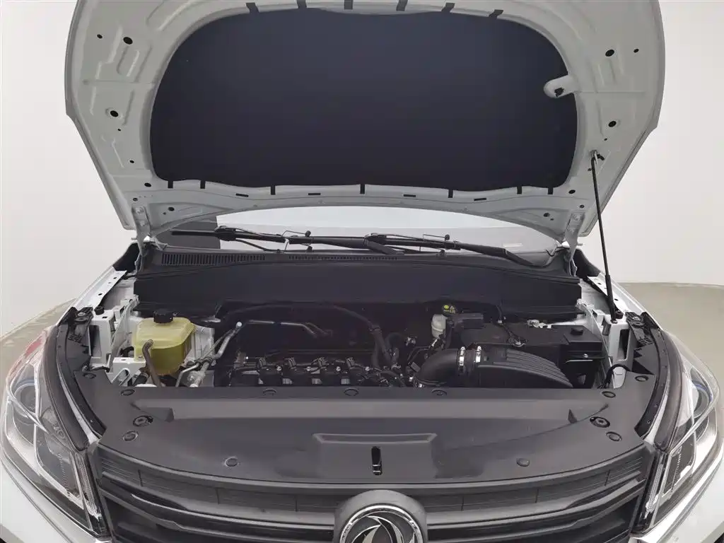 DONGFENG SCENERY 500