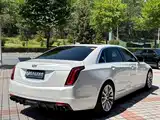 Фото 16 - Cadillac CT6