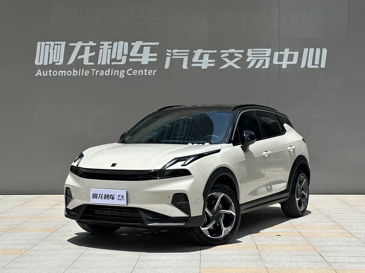 LYNK 06