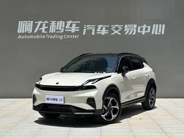 lynk 06