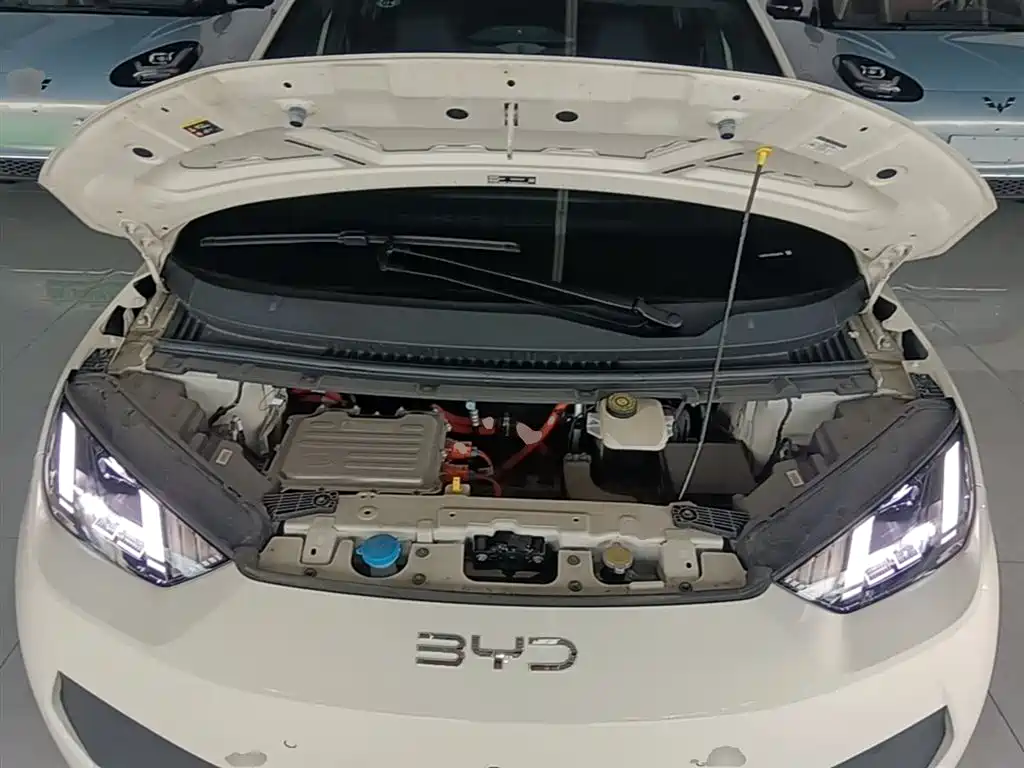 BYD Seagull 2025 Smart Drive Edition 305km Freedom Version фото 20