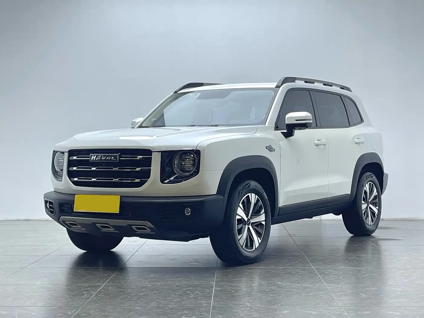 Haval Big Dog 2021 1.5T DCT 2WD Labrador Edition